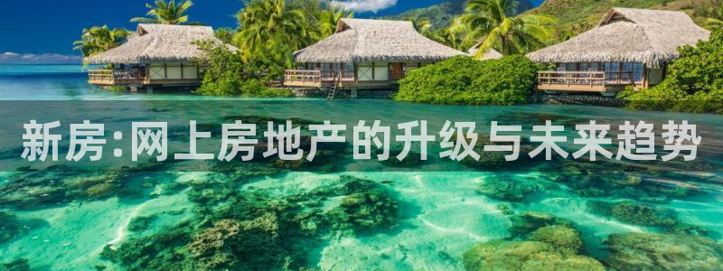 新宝5官方：新房:网上房地产的升级与未来趋势