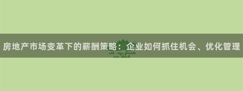新宝5得74OOO5：房地产市场变革下的薪酬策略：企业如何抓