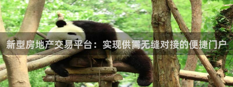 新宝5是什么样子的：新型房地产交易平台：实现供需无缝对接的便