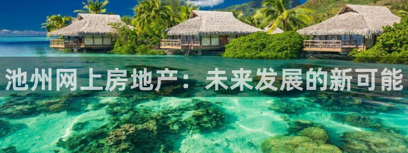 新宝5招商222111：池州网上房地产：未来发展的新可能
