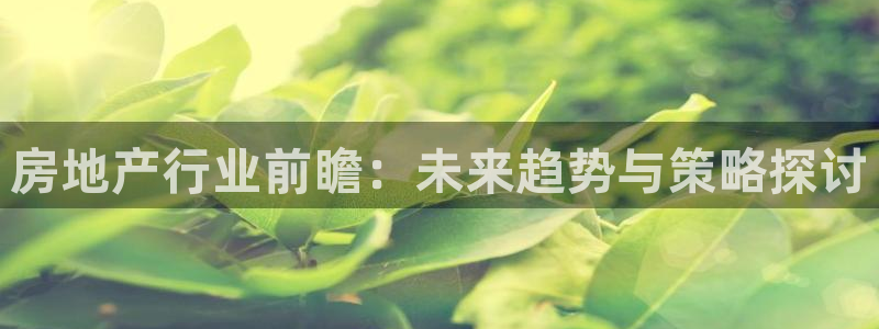 新宝5月：房地产行业前瞻：未来趋势与策略探讨