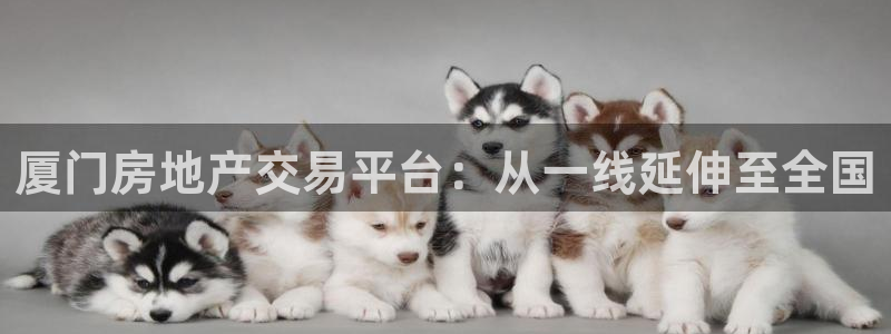 新宝5招商222111：厦门房地产交易平台：从一线延伸至全国