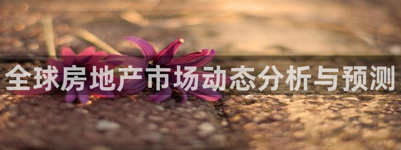 新宝5娱乐方：全球房地产市场动态分析与预测