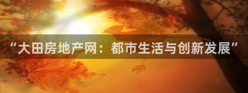 新宝5登录测速中心：“大田房地产网：都市生活与创新发展”