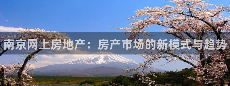 新宝5测速下载：南京网上房地产：房产市场的新模式与趋势