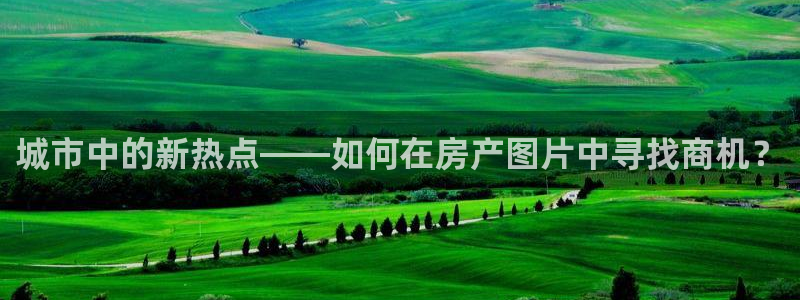 新宝娱乐5入口：城市中的新热点——如何在房产图片中寻找商机？