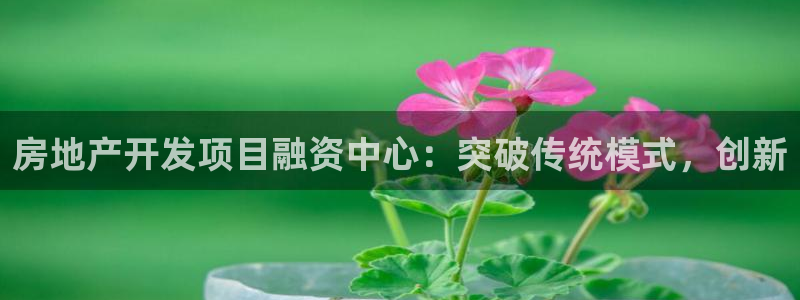 新宝娱乐5：房地产开发项目融资中心：突破传统模式，创新