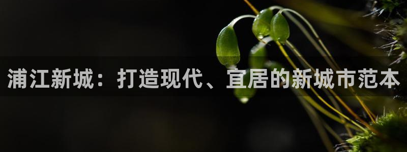 新宝5下载app：浦江新城：打造现代、宜居的新城市范本