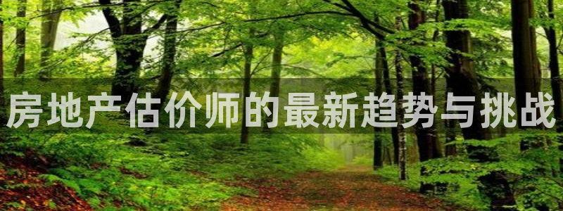 新宝G5：房地产估价师的最新趋势与挑战