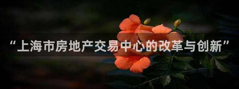 新宝5登录注册：“上海市房地产交易中心的改革与创新”