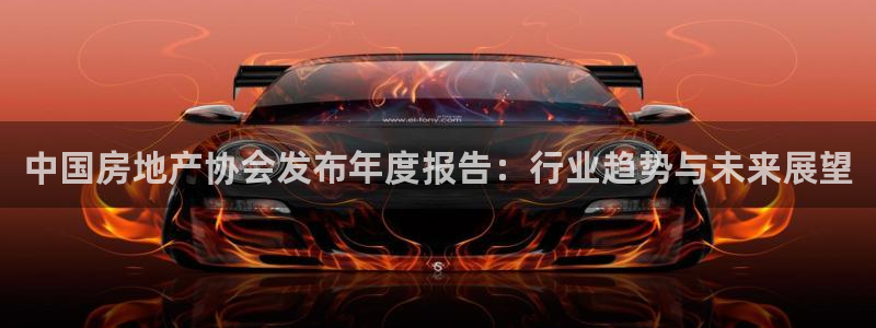 新宝5娱乐方：中国房地产协会发布年度报告：行业趋势与未来展望