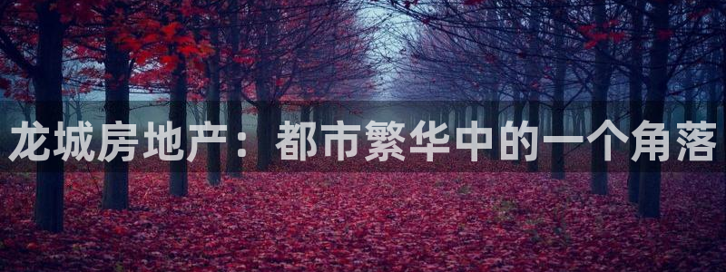 新宝5口67五壹叁八：龙城房地产：都市繁华中的一个角落