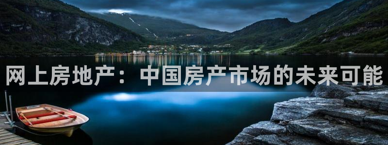 新宝股东张听2 5 5：网上房地产：中国房产市场的未来可能