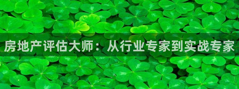 新宝5蒋7O667：房地产评估大师：从行业专家到实战专家