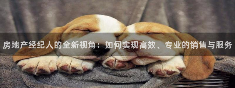 新宝5蒋74OOO5：房地产经纪人的全新视角：如何实现高效、