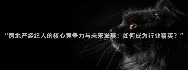 新宝5娱乐如：“房地产经纪人的核心竞争力与未来发展：如何成为