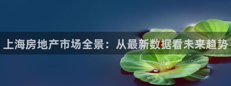 新宝5娱乐主管：上海房地产市场全景：从最新数据看未来趋势