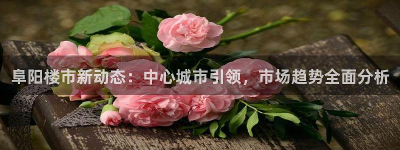 新宝5下载测试：阜阳楼市新动态：中心城市引领，市场趋势全面分