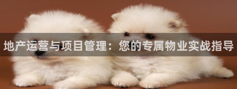 新宝5 注册：地产运营与项目管理：您的专属物业实战指导