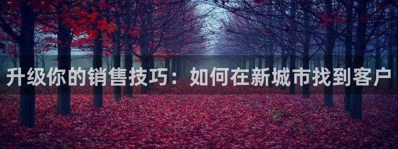 新宝5客户端登录：升级你的销售技巧：如何在新城市找到客户