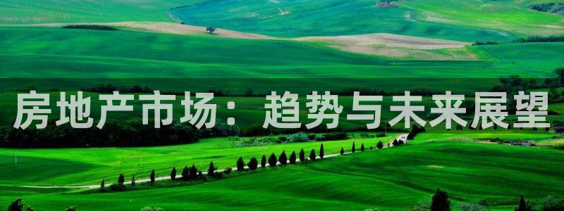 新宝5娱乐手机登录：房地产市场：趋势与未来展望