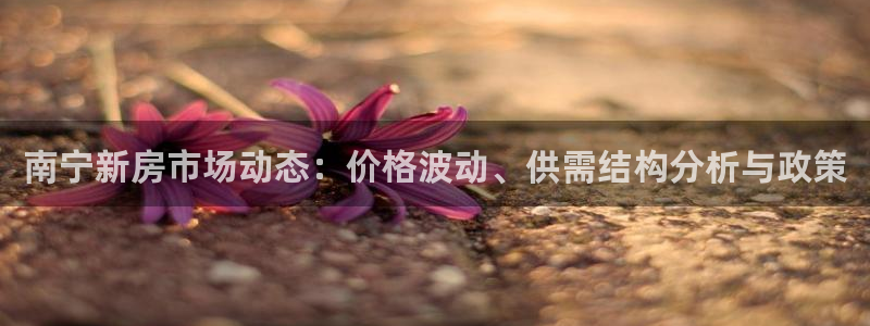 新宝3得74OO5：南宁新房市场动态：价格波动、供需结构分析