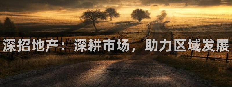新宝5平台注册：深招地产：深耕市场，助力区域发展