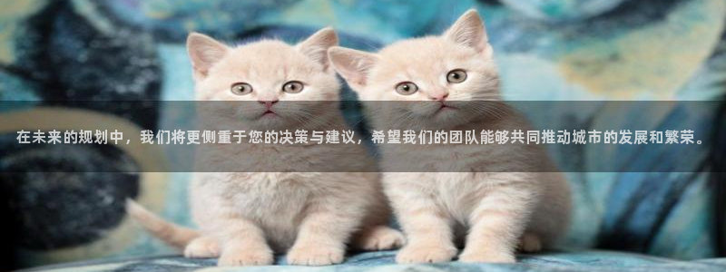 新宝5下载网址：在未来的规划中，我们将更侧重于您的决策与建议