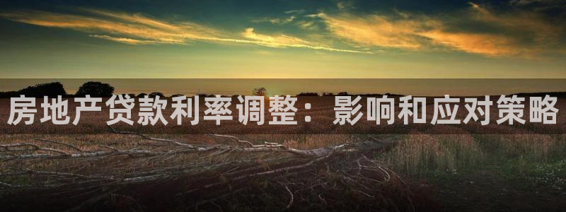 新宝5后：房地产贷款利率调整：影响和应对策略