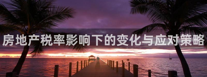 新宝5 注册：房地产税率影响下的变化与应对策略