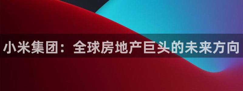 i新宝5：小米集团：全球房地产巨头的未来方向