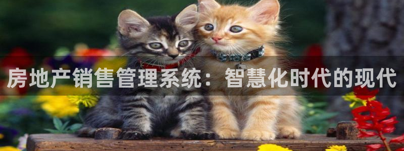 新宝5网址：房地产销售管理系统：智慧化时代的现代