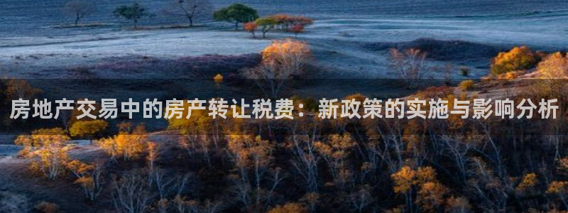 新宝5d：房地产交易中的房产转让税费：新政策的实施与影响分析