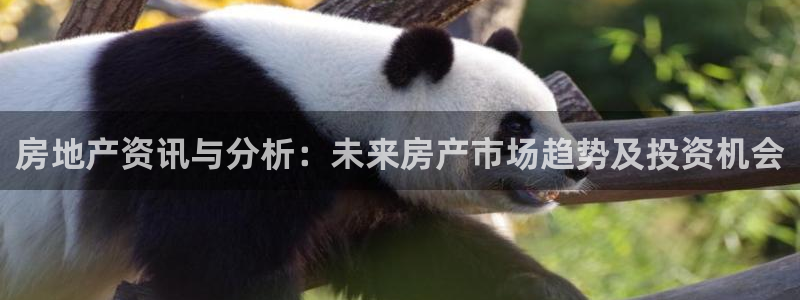 新宝5下载到桌面：房地产资讯与分析：未来房产市场趋势及投资机