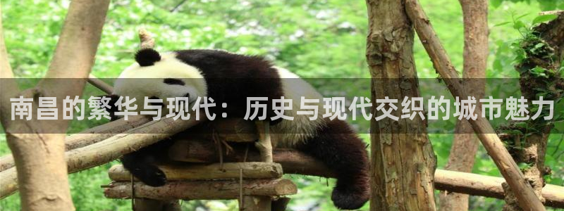 新宝5登录界面：南昌的繁华与现代：历史与现代交织的城市魅力
