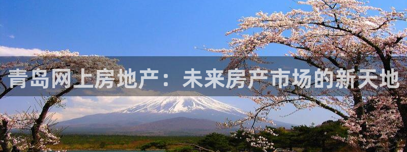 新5宝：青岛网上房地产：未来房产市场的新天地