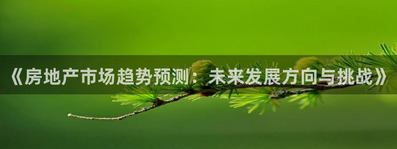 新宝5浗维33 300：《房地产市场趋势预测：未来发展方向与