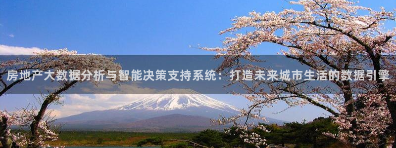 新宝5娱乐然：房地产大数据分析与智能决策支持系统：打造未来城