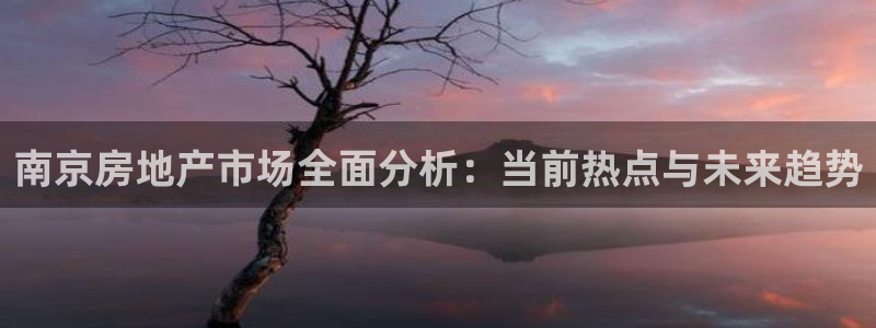新宝5为啥开：南京房地产市场全面分析：当前热点与未来趋势