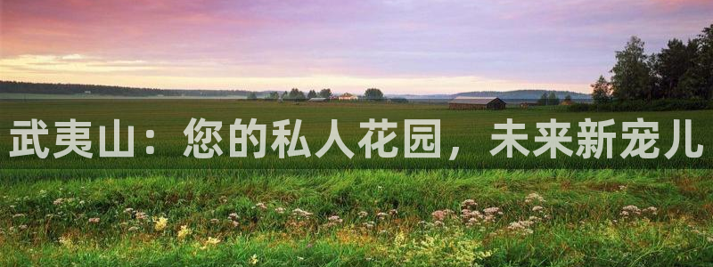 新宝5娱乐然：武夷山：您的私人花园，未来新宠儿