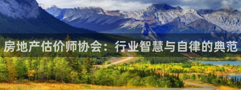 新宝5公司：房地产估价师协会：行业智慧与自律的典范