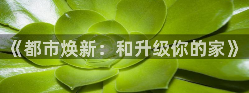 新宝5日740005蔻：《都市焕新：和升级你的家》