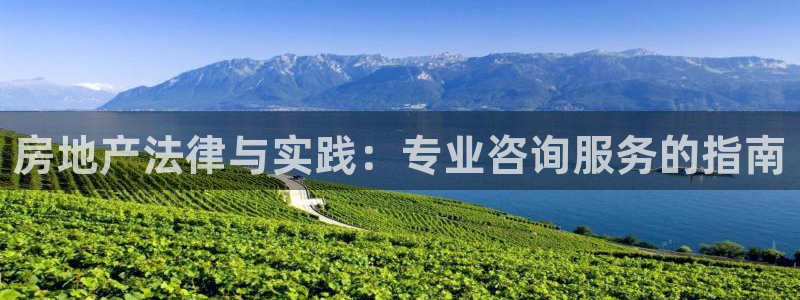 新宝5得74OOO5：房地产法律与实践：专业咨询服务的指南