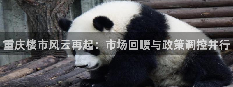 新宝5球维33 300：重庆楼市风云再起：市场回暖与政策调控