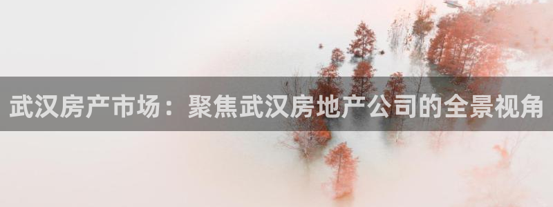 新宝5平台咋样：武汉房产市场：聚焦武汉房地产公司的全景视角