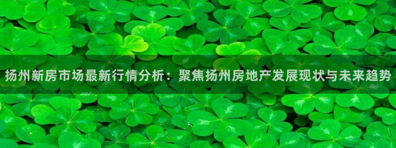新宝5X：扬州新房市场最新行情分析：聚焦扬州房地产发展现状与