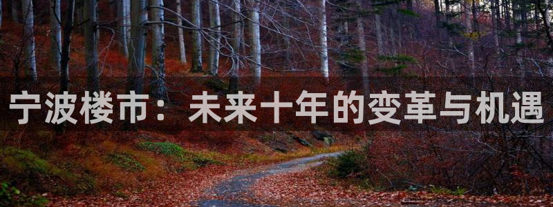新宝娱乐5：宁波楼市：未来十年的变革与机遇