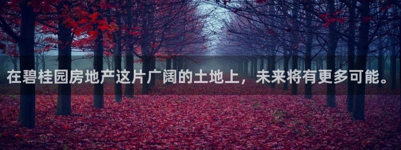 新宝5为啥开：在碧桂园房地产这片广阔的土地上，未来将有更多可
