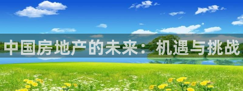 股票5G宝新：中国房地产的未来：机遇与挑战