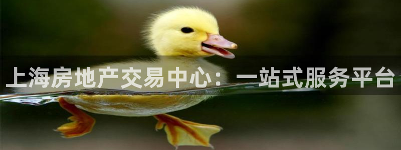 新宝5日谢29999：上海房地产交易中心：一站式服务平台